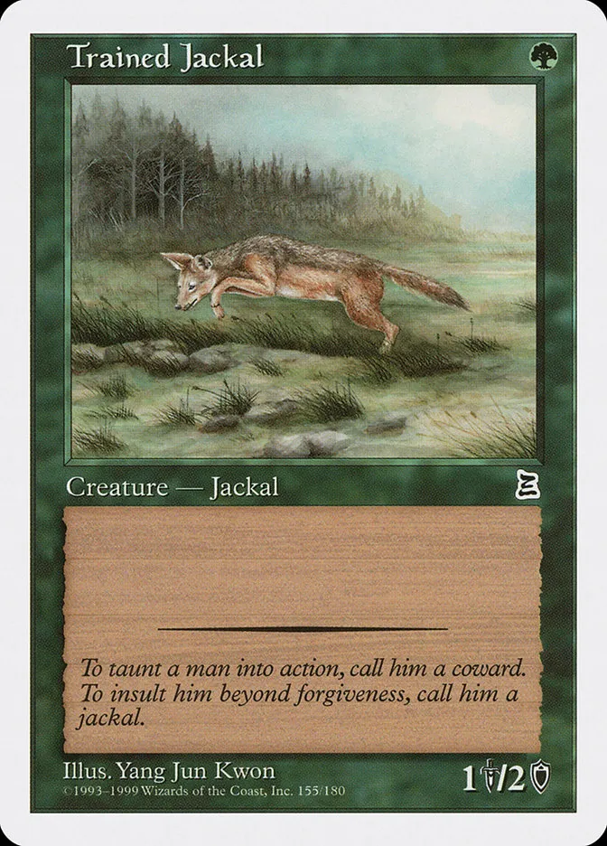 Trained Jackal Front Face