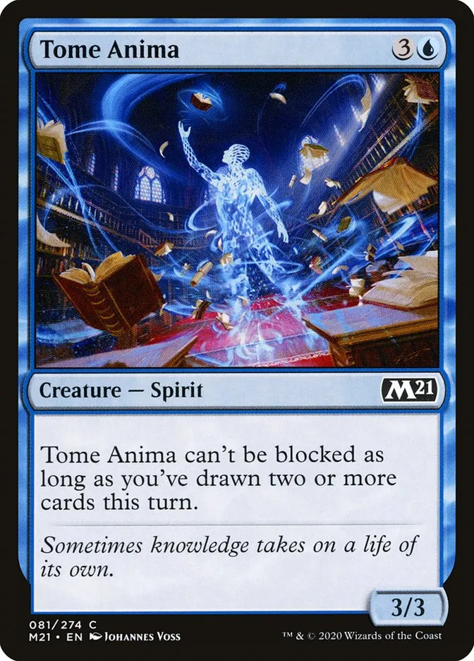 Tome Anima Front Face