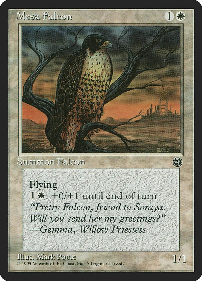 Mesa Falcon Front Face