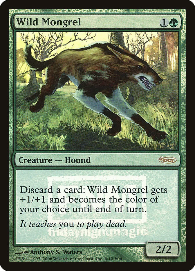 Wild Mongrel Front Face