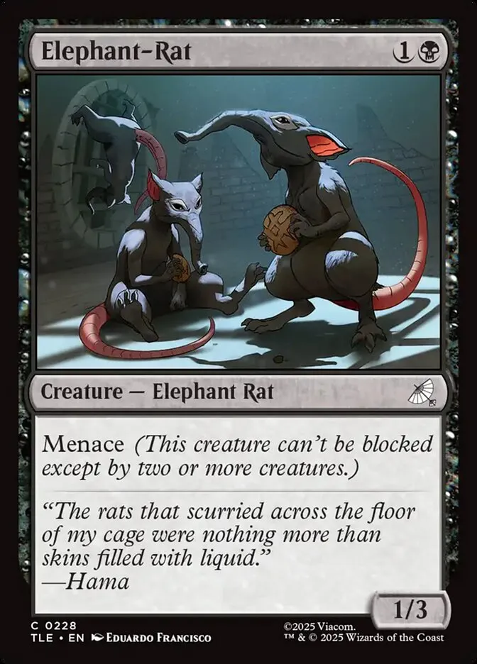 Elephant-Rat Front Face
