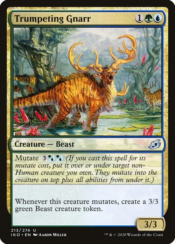 Trumpeting Gnarr Front Face