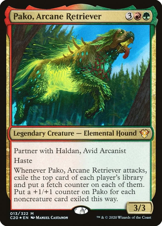 Pako, Arcane Retriever Front Face