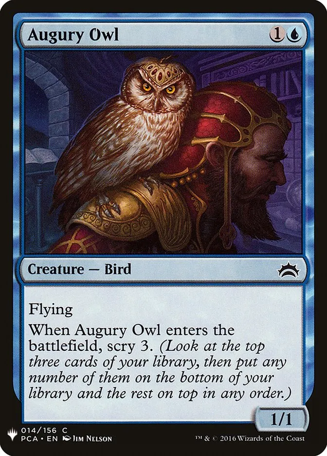Augury Owl Front Face