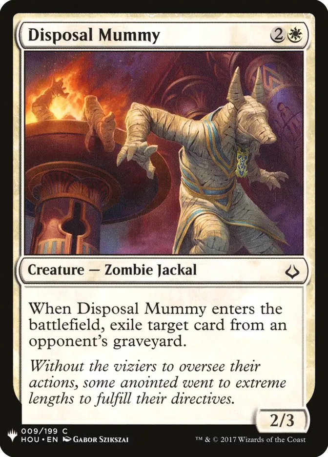 Disposal Mummy Front Face