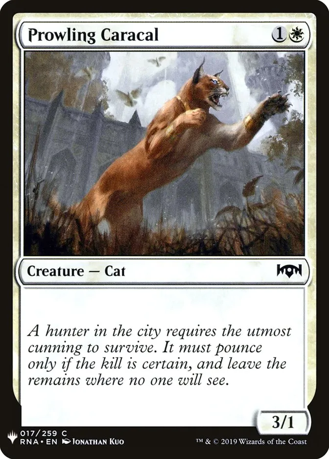 Prowling Caracal Front Face