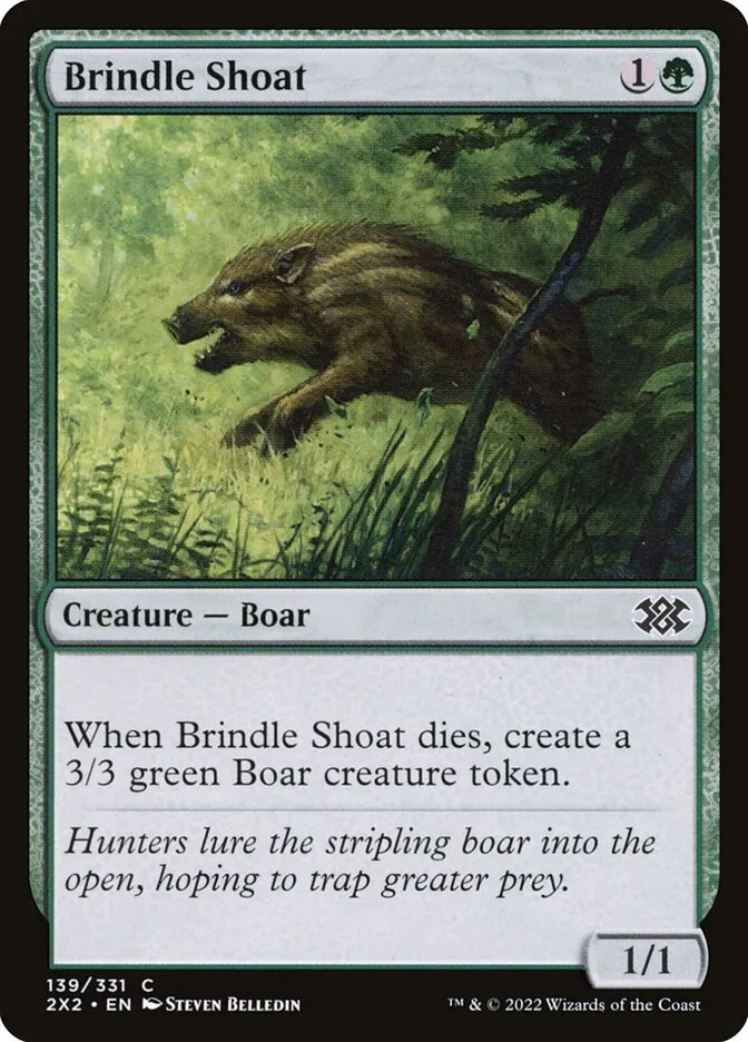 Brindle Shoat Front Face