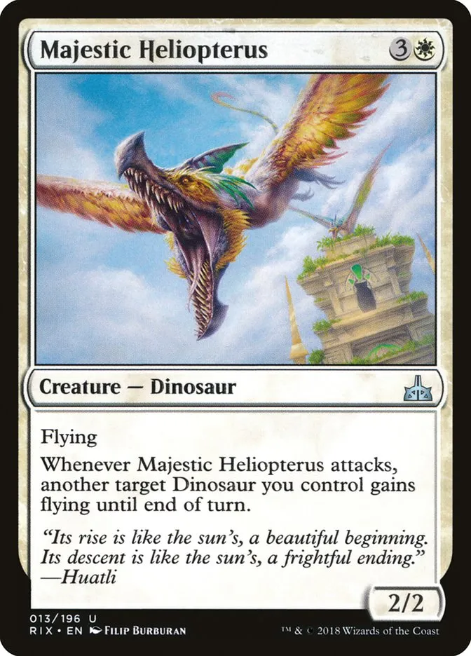 Majestic Heliopterus Front Face