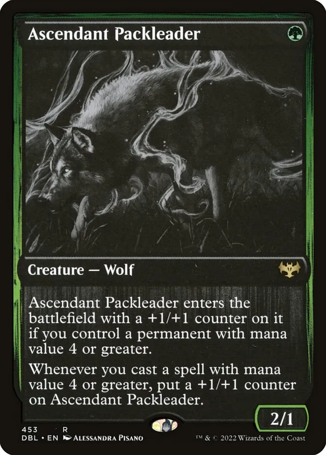 Ascendant Packleader Front Face