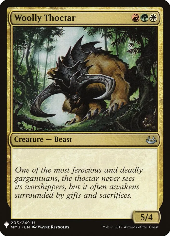 Woolly Thoctar Front Face