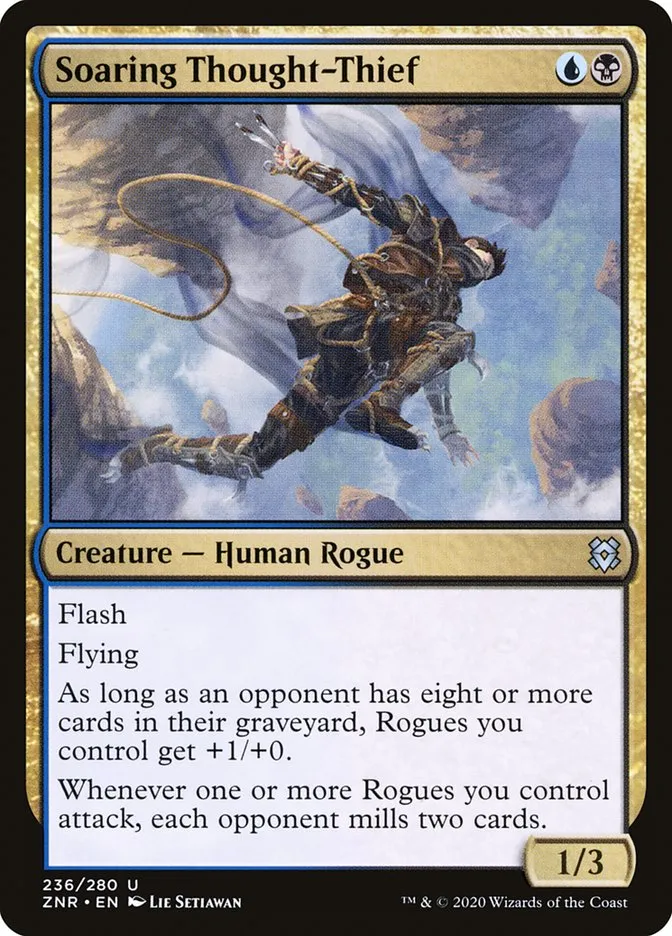 Soaring Thought-Thief Front Face
