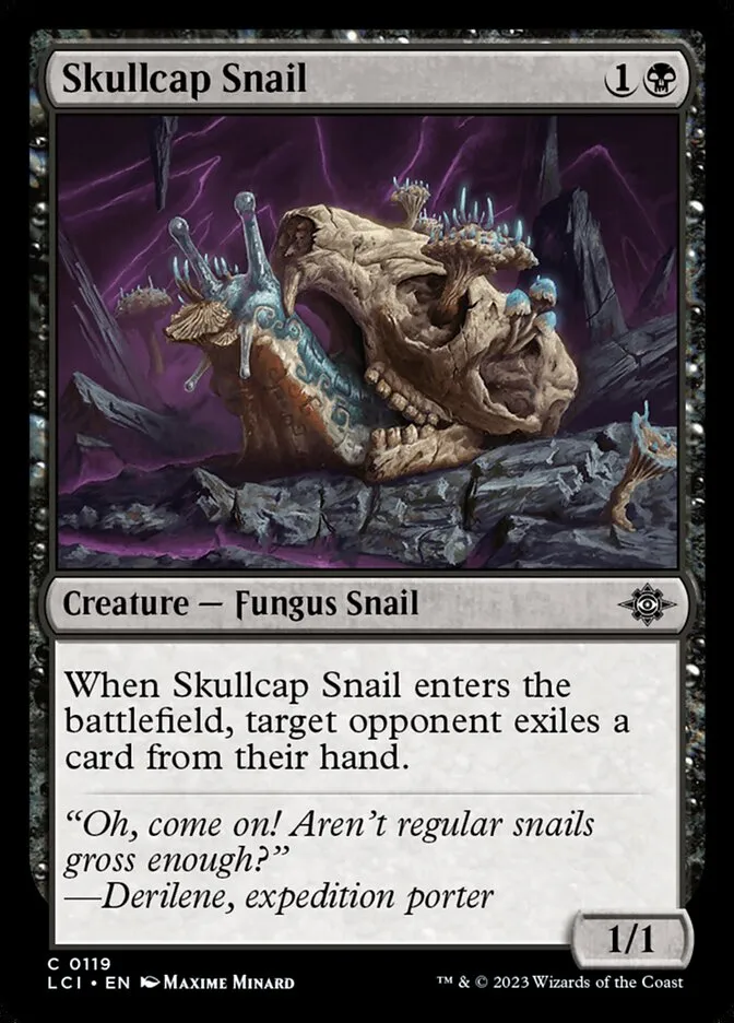 Skullcap Snail Front Face