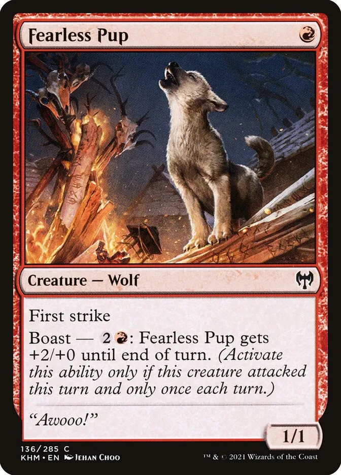 Fearless Pup Front Face