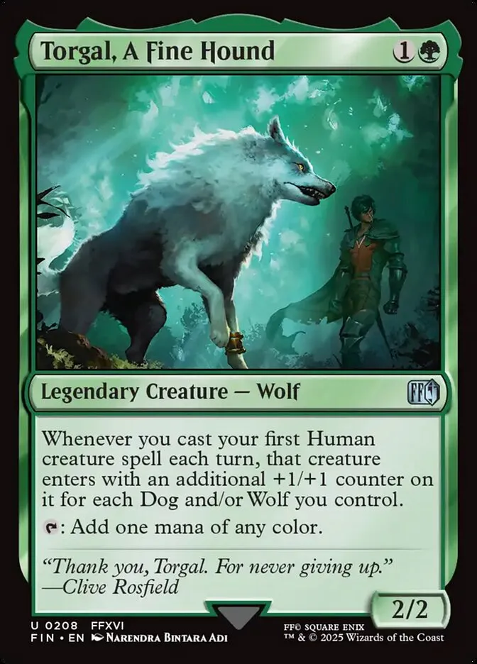 Torgal, A Fine Hound Front Face