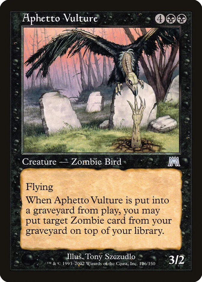 Aphetto Vulture Front Face