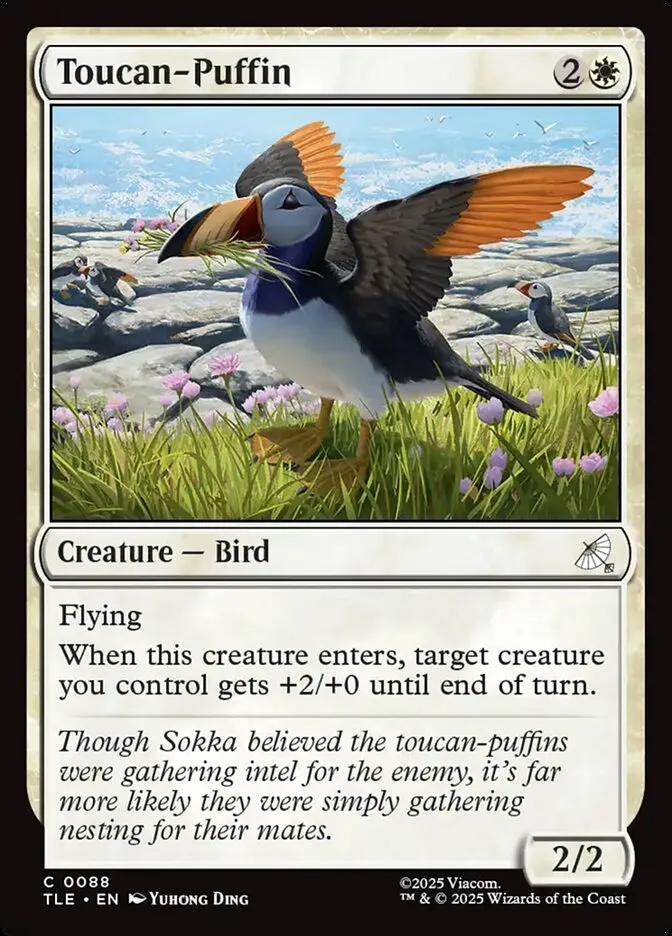 Toucan-Puffin Front Face