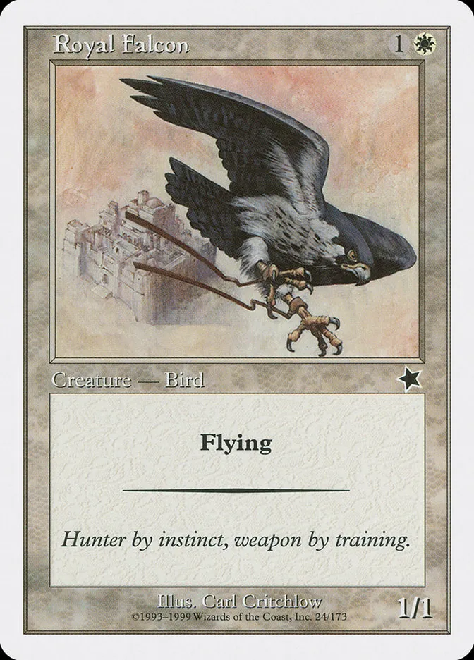 Royal Falcon Front Face