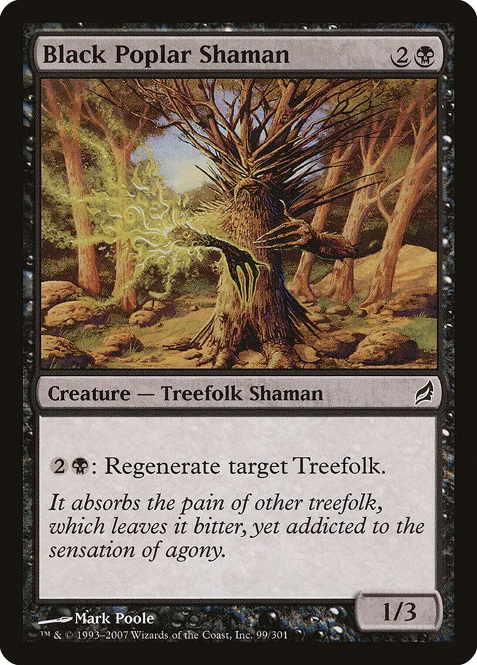 Black Poplar Shaman Front Face