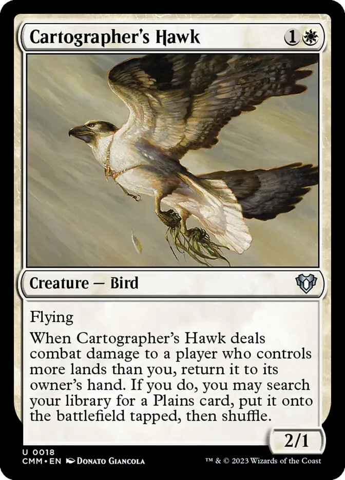 Cartographer's Hawk Front Face