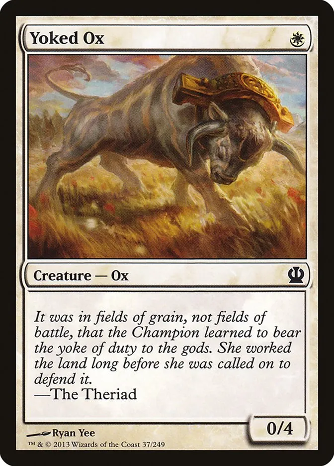 Yoked Ox Front Face