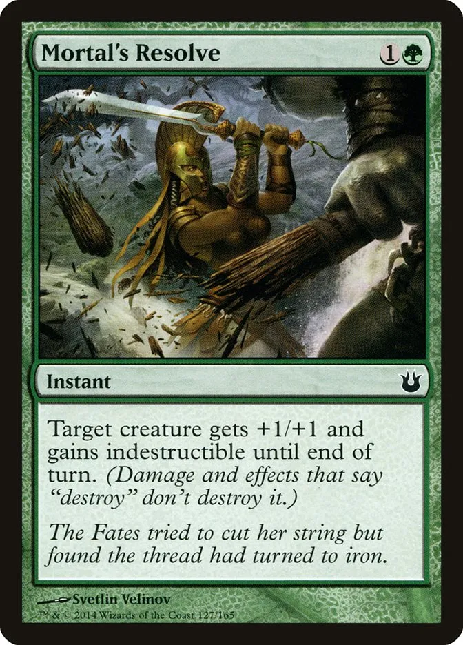 Mortal's Resolve Front Face
