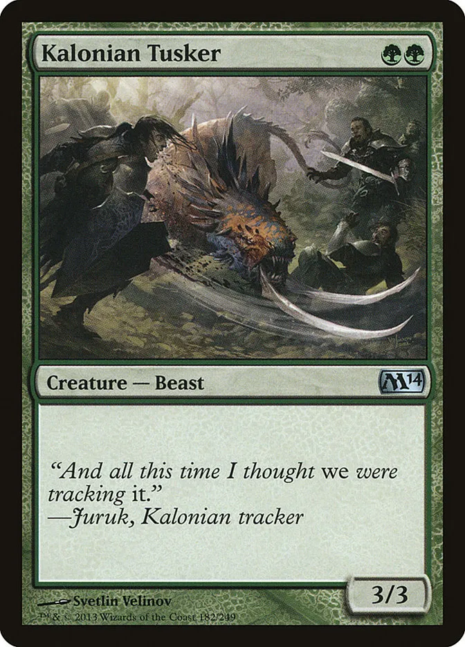 Kalonian Tusker Front Face