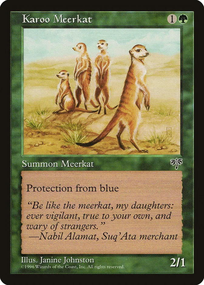 Karoo Meerkat Front Face