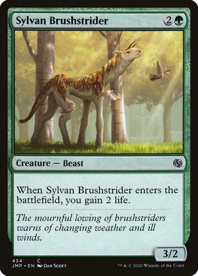 Sylvan Brushstrider Front Face