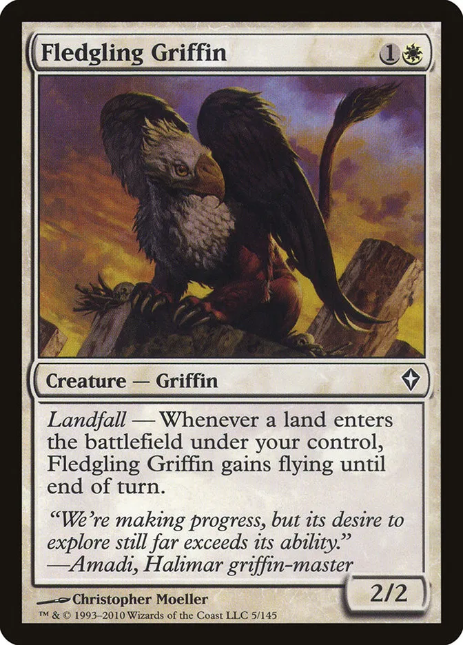 Fledgling Griffin Front Face