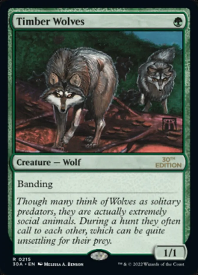 Timber Wolves Front Face