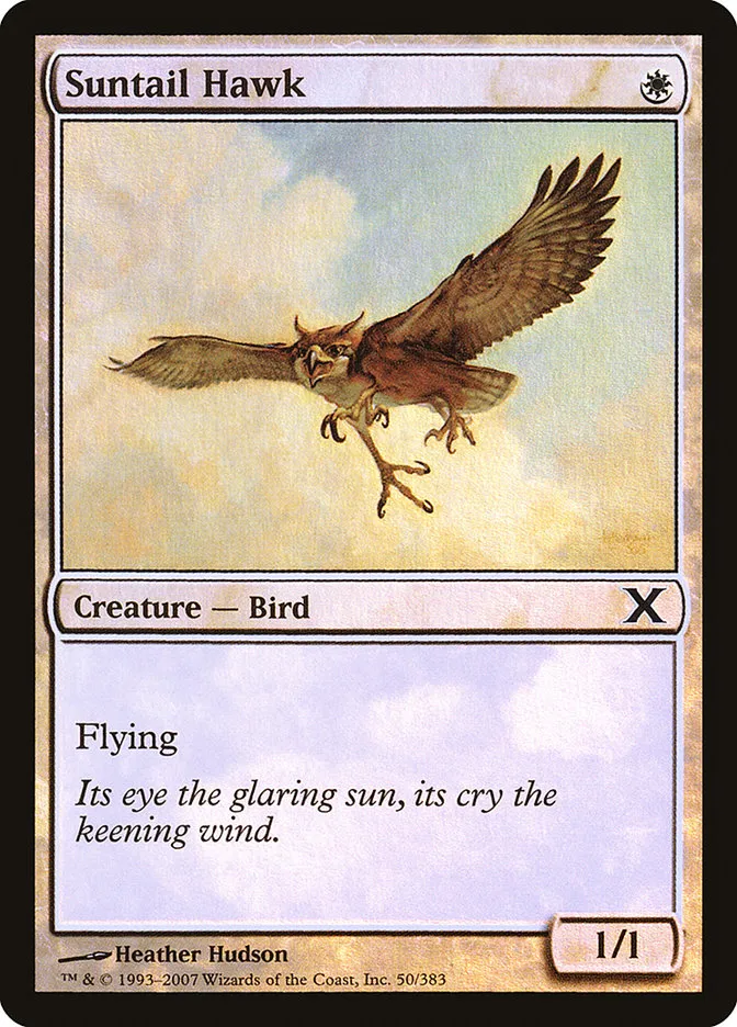 Suntail Hawk Front Face