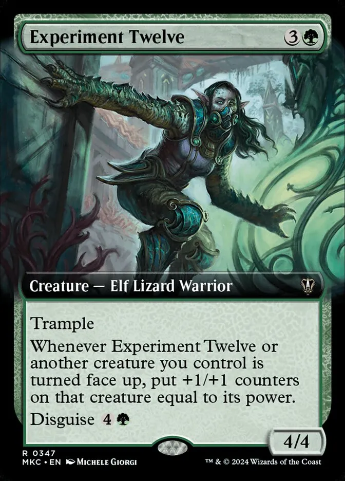 Experiment Twelve Front Face