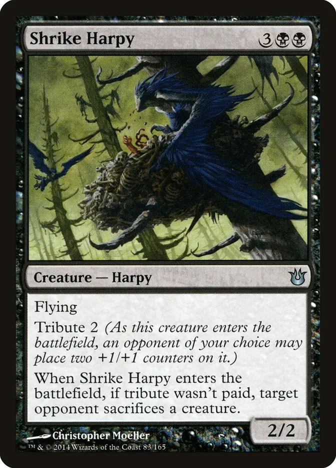 Shrike Harpy Front Face