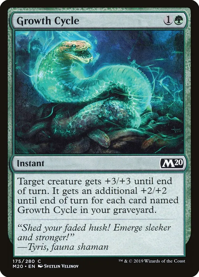 Growth Cycle Front Face