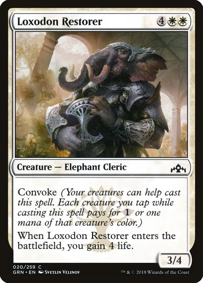 Loxodon Restorer Front Face