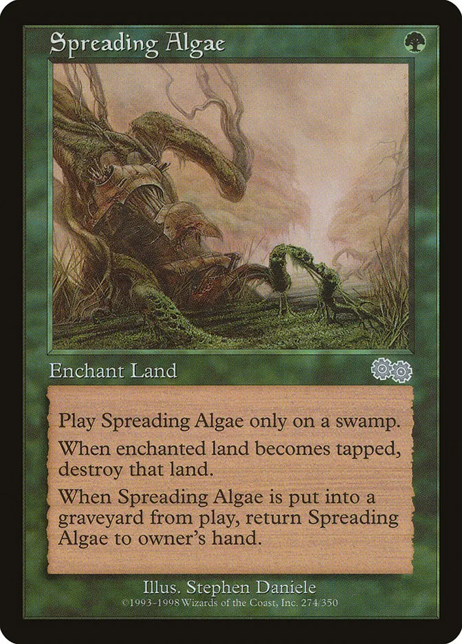 Spreading Algae Front Face