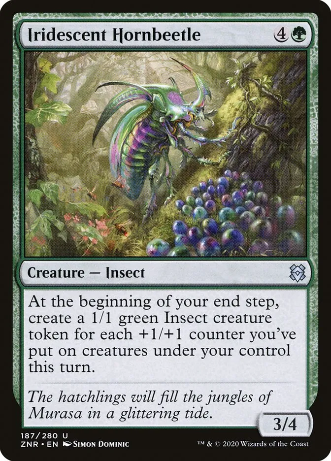 Iridescent Hornbeetle Front Face