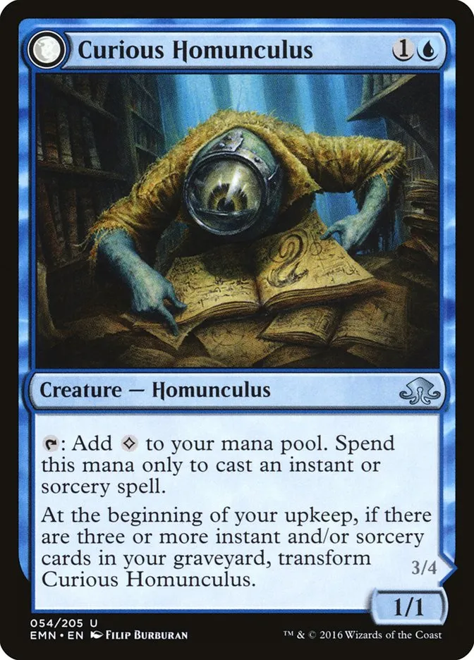 Curious Homunculus // Voracious Reader Front Face