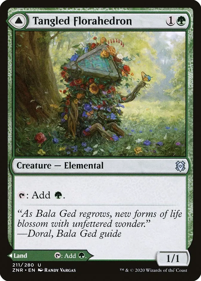 Tangled Florahedron // Tangled Vale Front Face