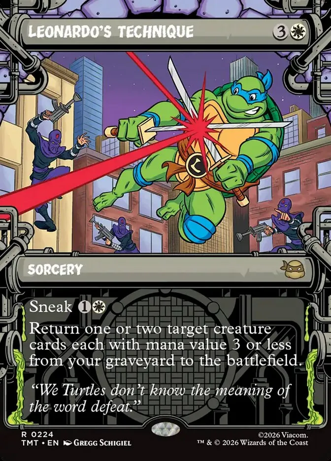 Leonardo's Technique Front Face