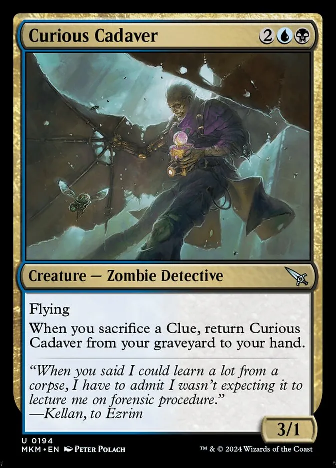 Curious Cadaver Front Face