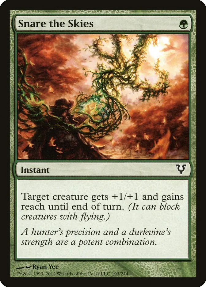 Snare the Skies Front Face