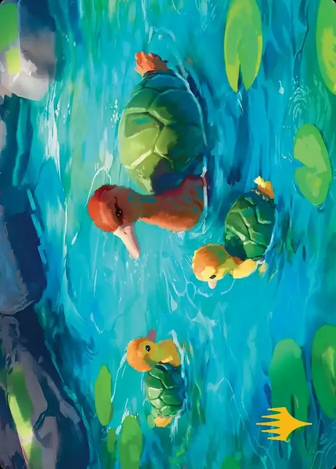 Turtle-Duck // Turtle-Duck Front Face