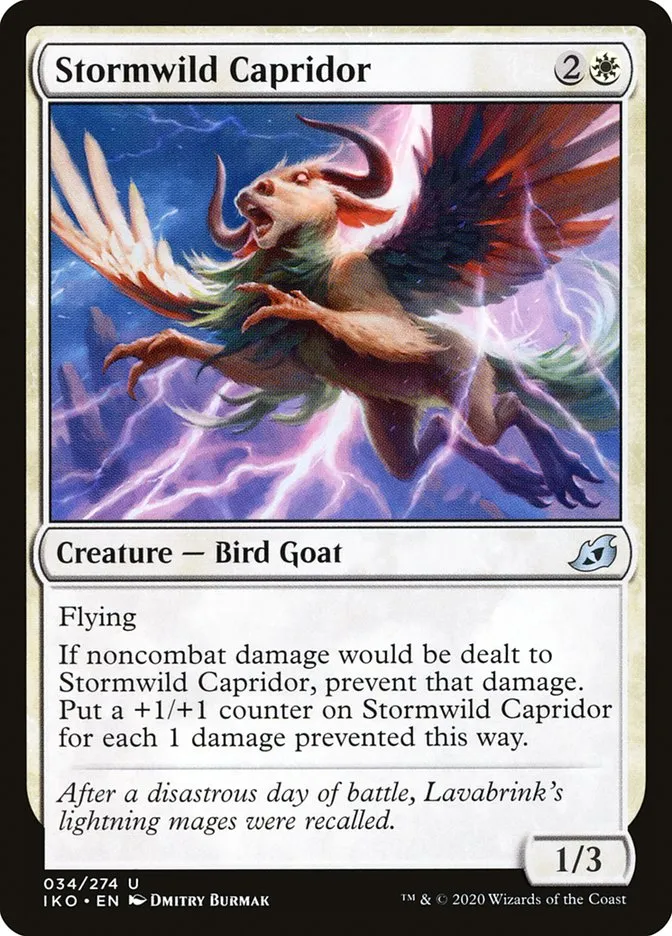 Stormwild Capridor Front Face