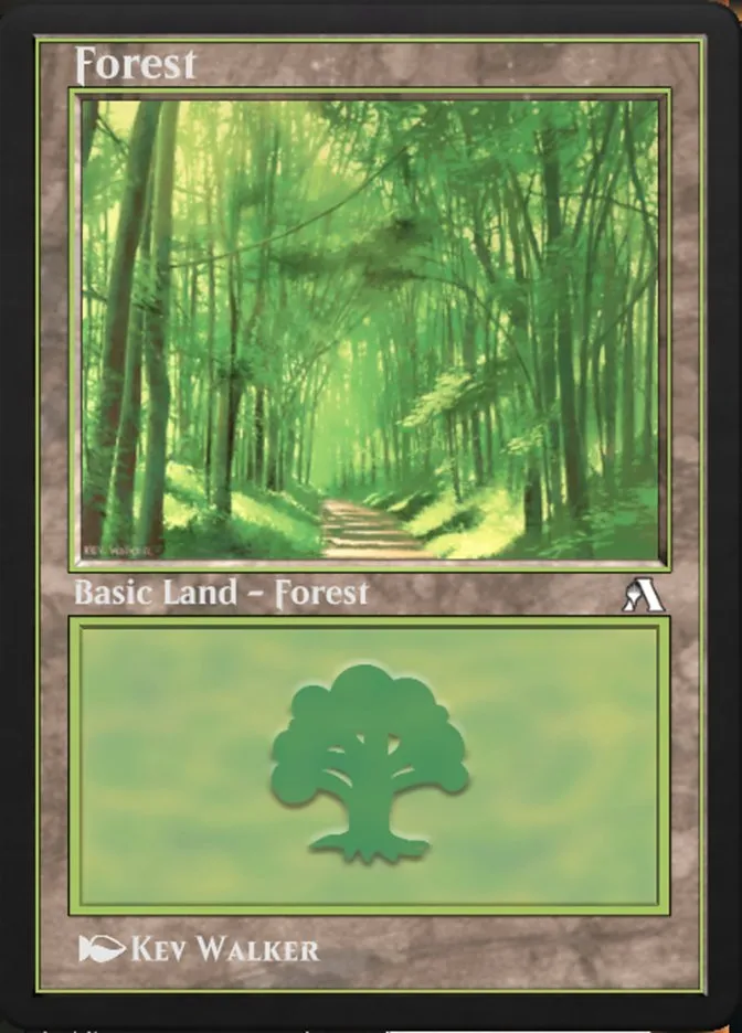 Forest