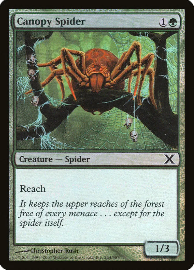 Canopy Spider Front Face