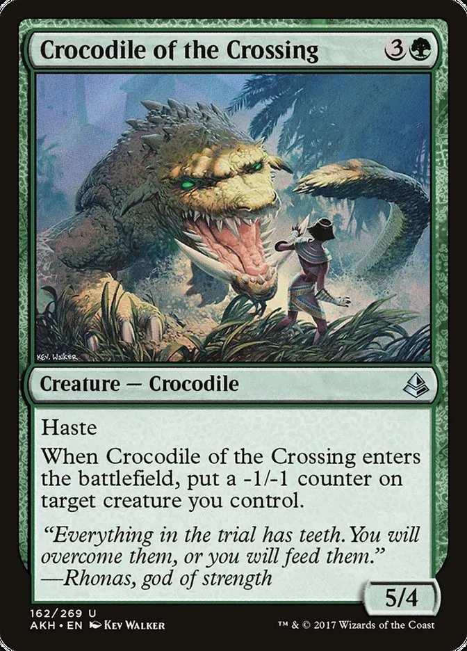 Crocodile of the Crossing Front Face
