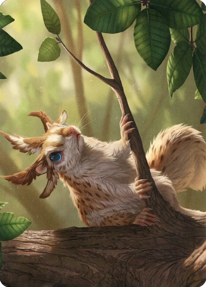 Squirrel Sovereign // Squirrel Sovereign Front Face
