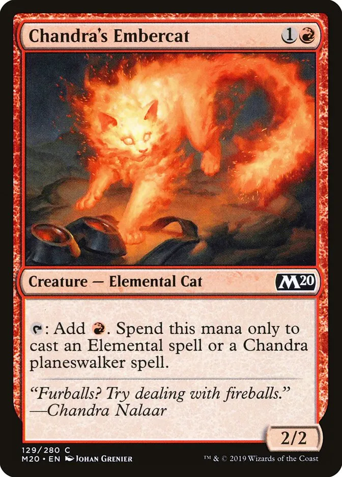Chandra's Embercat Front Face