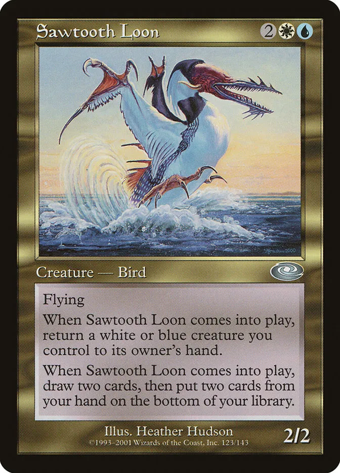 Sawtooth Loon Front Face